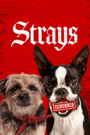 Những Chú Chó Bụi Đời (Strays (2023)) [2023]