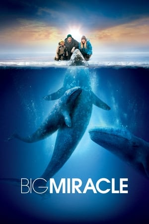 Giải Cứu Cá Heo - Big Miracle