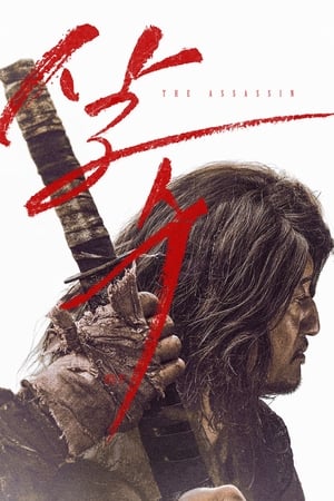 Sát Thủ Yi Nan - The Assassin