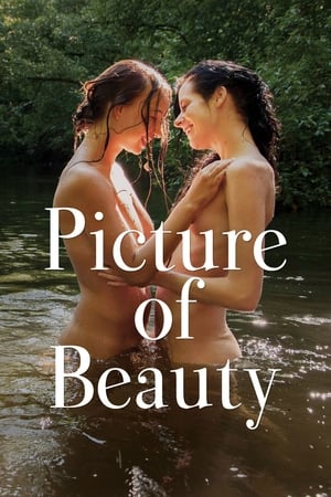 Kiệt Tác Của Vẻ Đẹp - Picture of Beauty (2017)