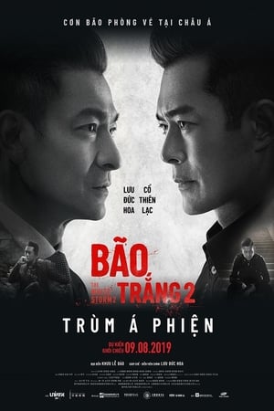 Bão Trắng 2: Trùm Á Phiện - The White Storm 2: Drug Lords