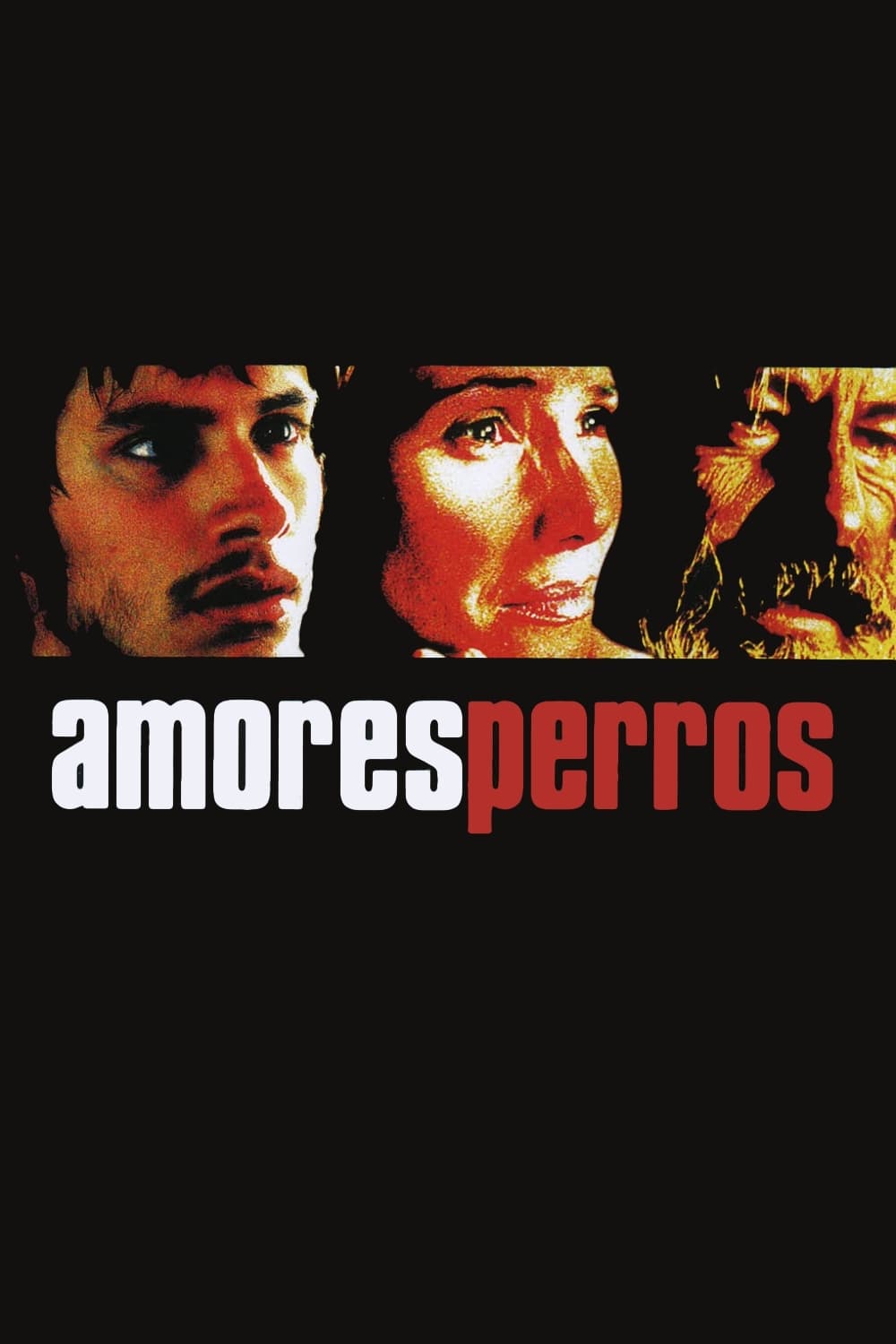 Kẻ Vô Đạo - Amores perros (2000)