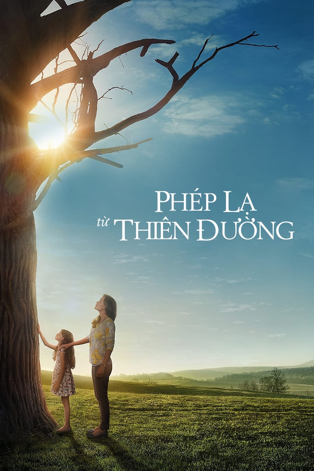 Phim Phép Lạ Từ Thiên Đường