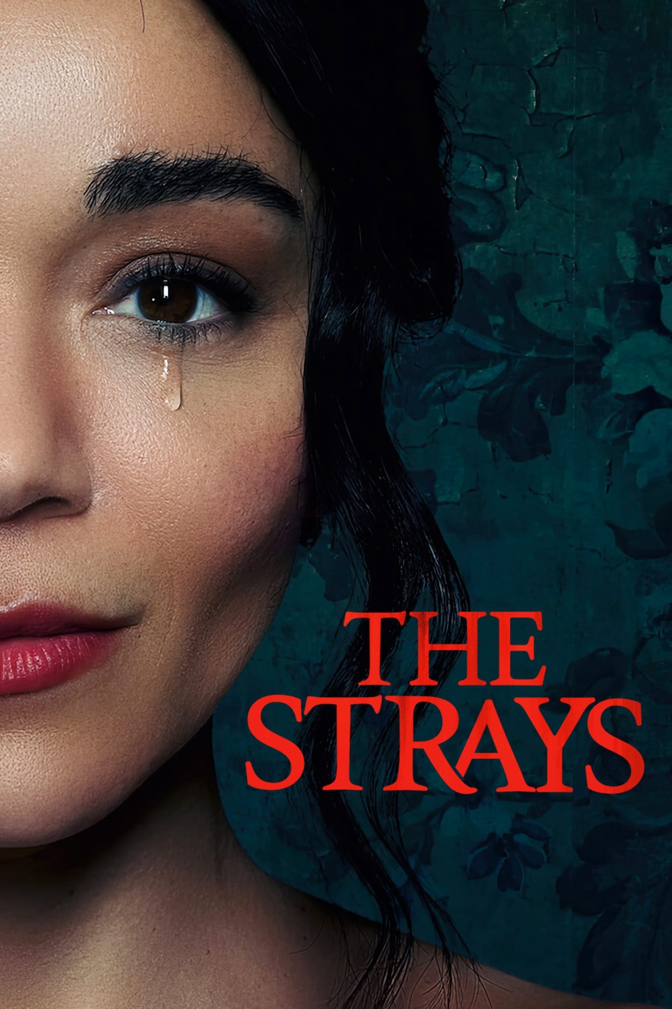 Kẻ Lạc Đường - The Strays (2023)