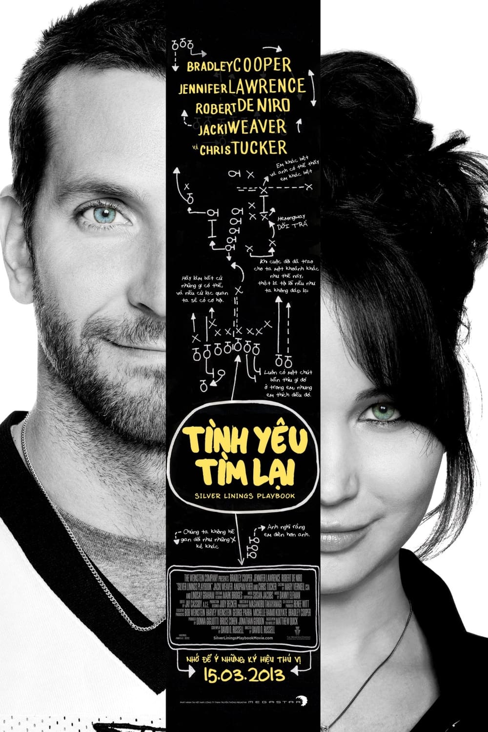 Tình Yêu Tìm Lại - Silver Linings Playbook