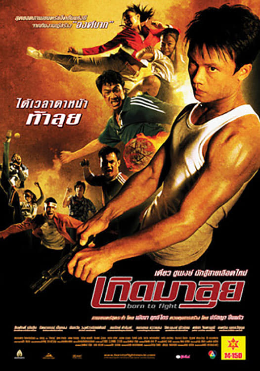 Sinh Ra Để Chiến Đấu - Born to Fight