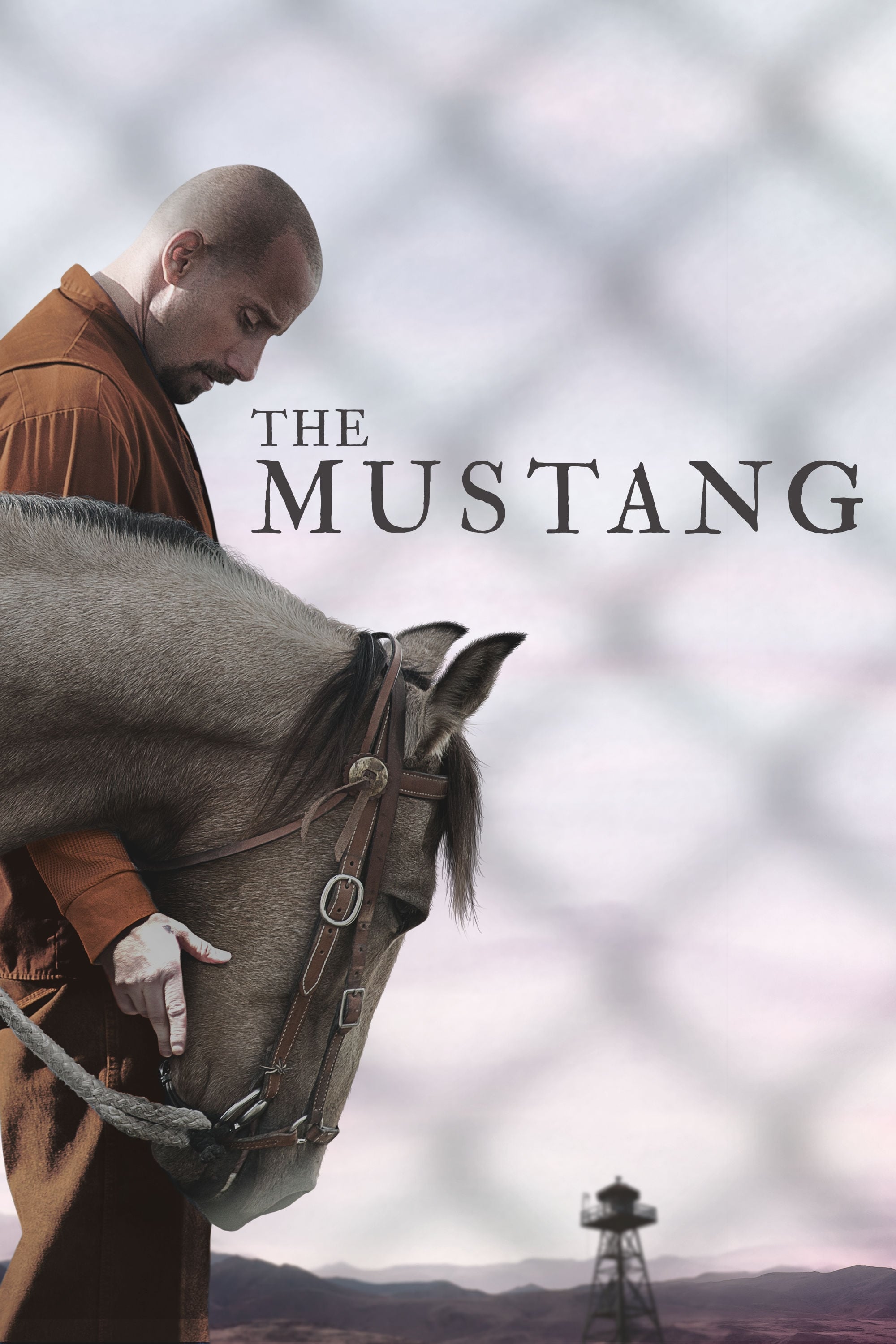 Mustang: Thuần hóa - The Mustang (2019)