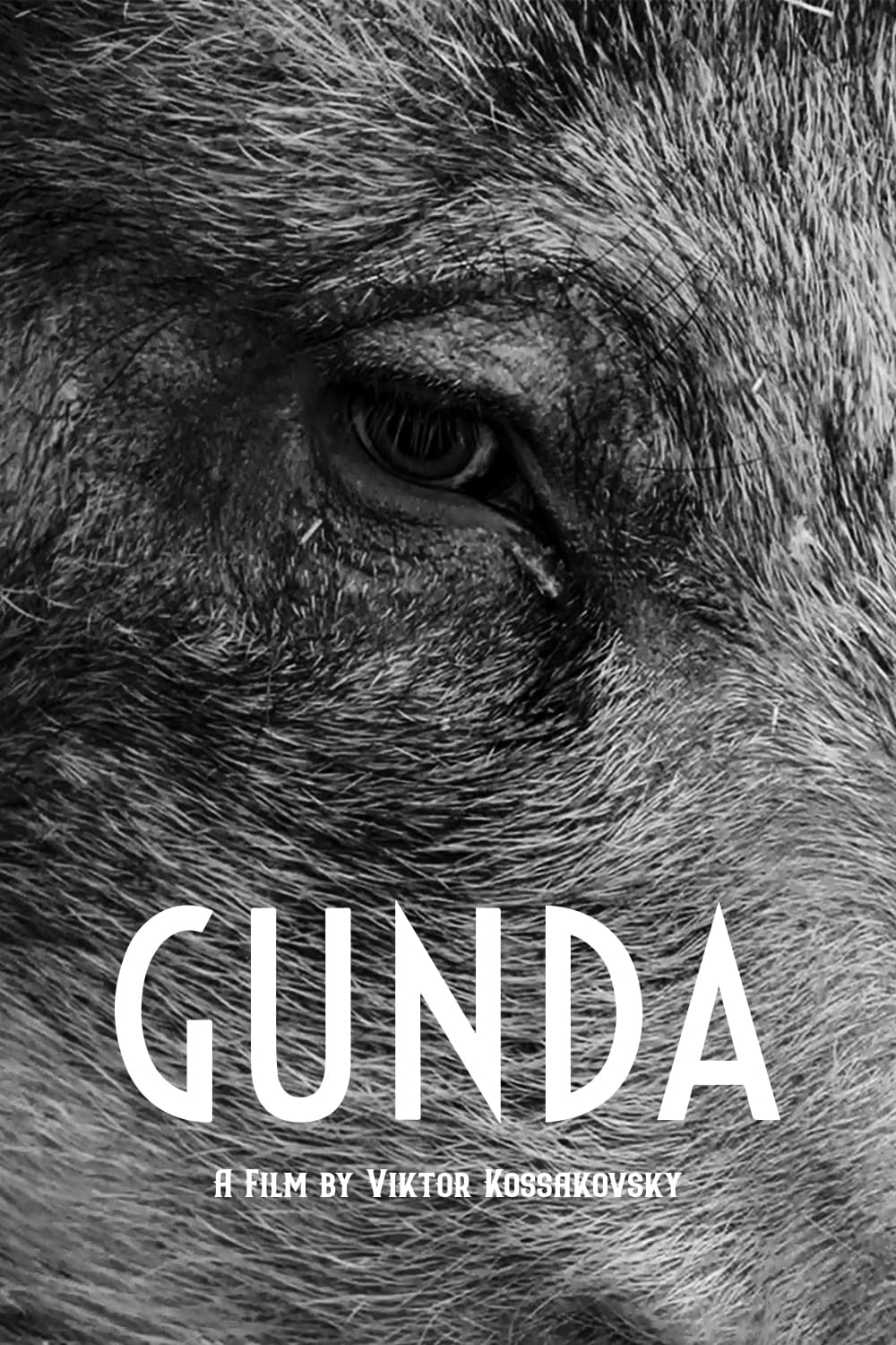 Gunda - Gunda