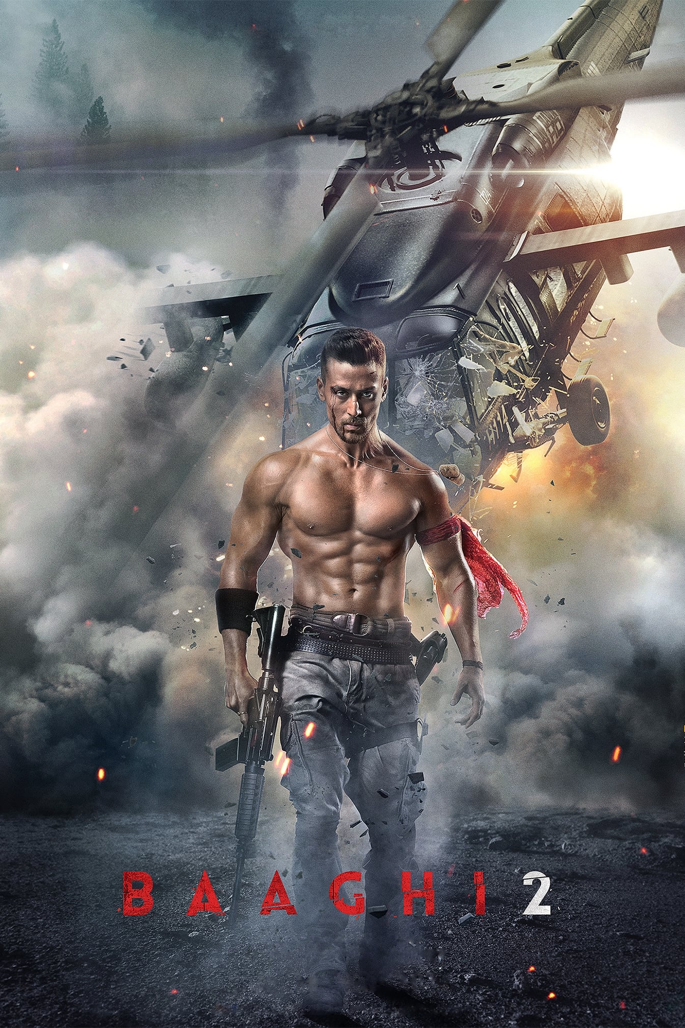 Giải Cứu Người Đẹp 2 - Baaghi 2 (2018)