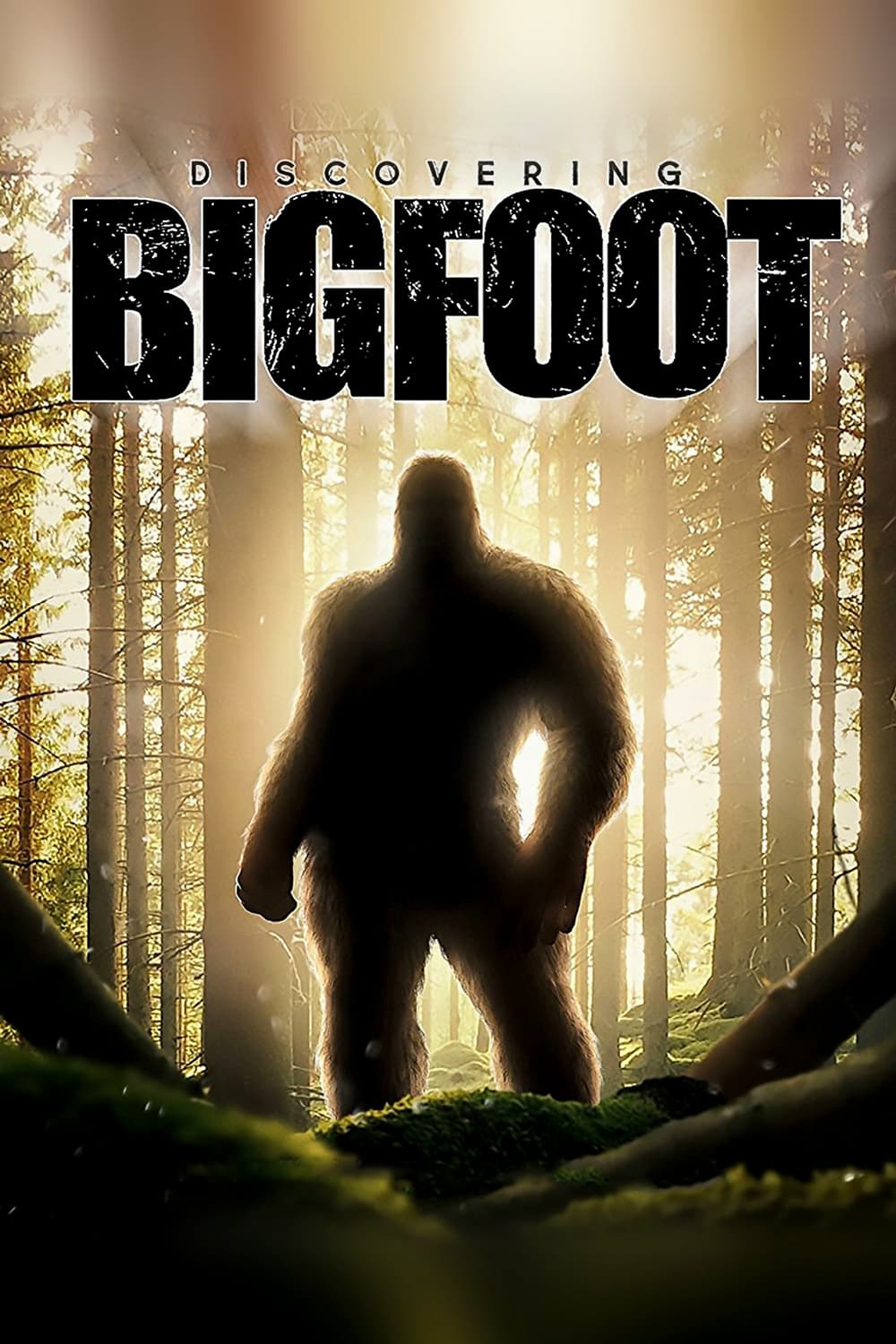 Truy Tìm Bigfoot - Discovering Bigfoot