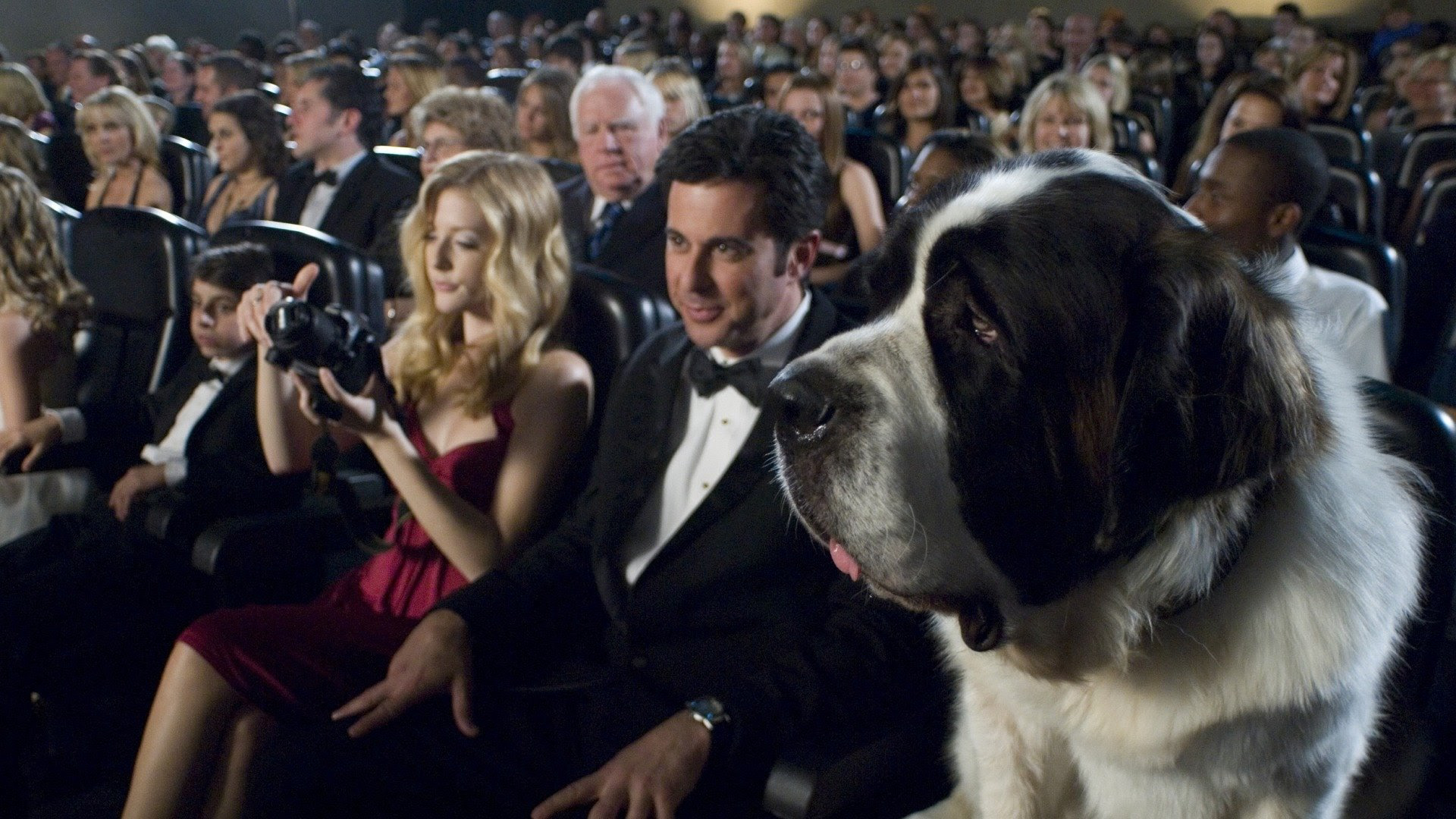 Chú Chó Beethoven 6: Ngôi Sao Mới