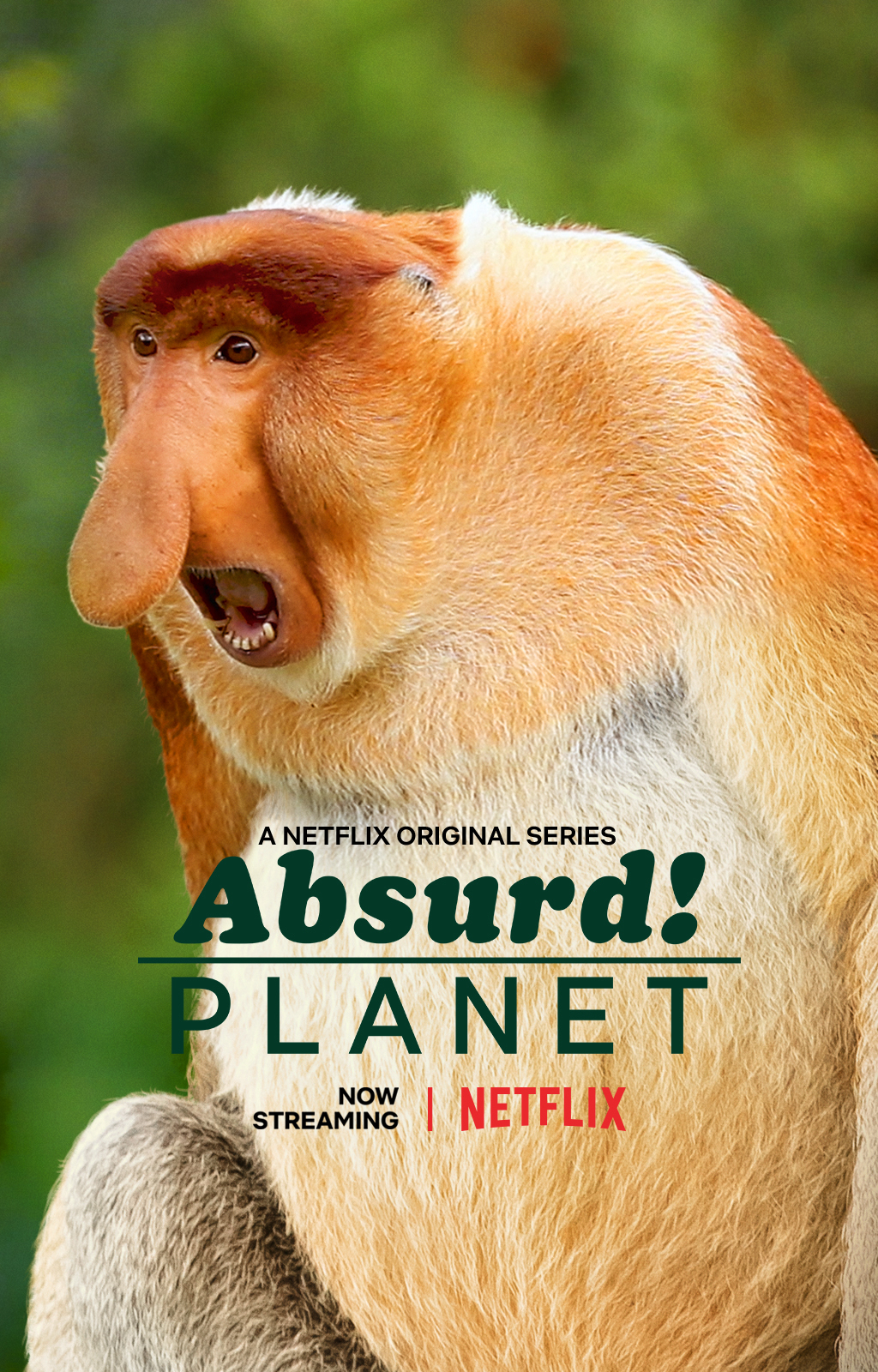 Hành Tinh Kỳ Quái - Absurd Planet