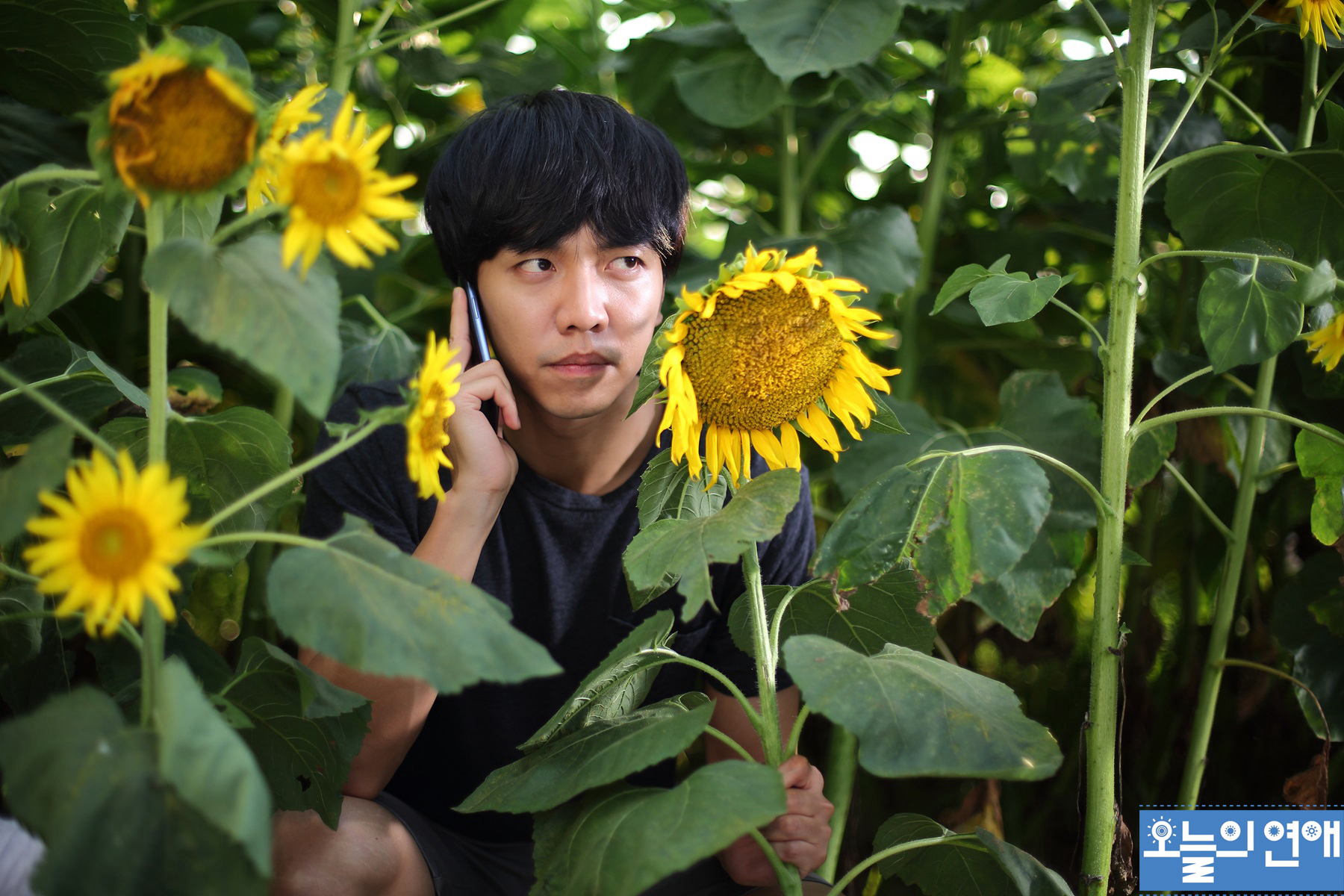 Yêu Phải Nàng Lắm Chiêu