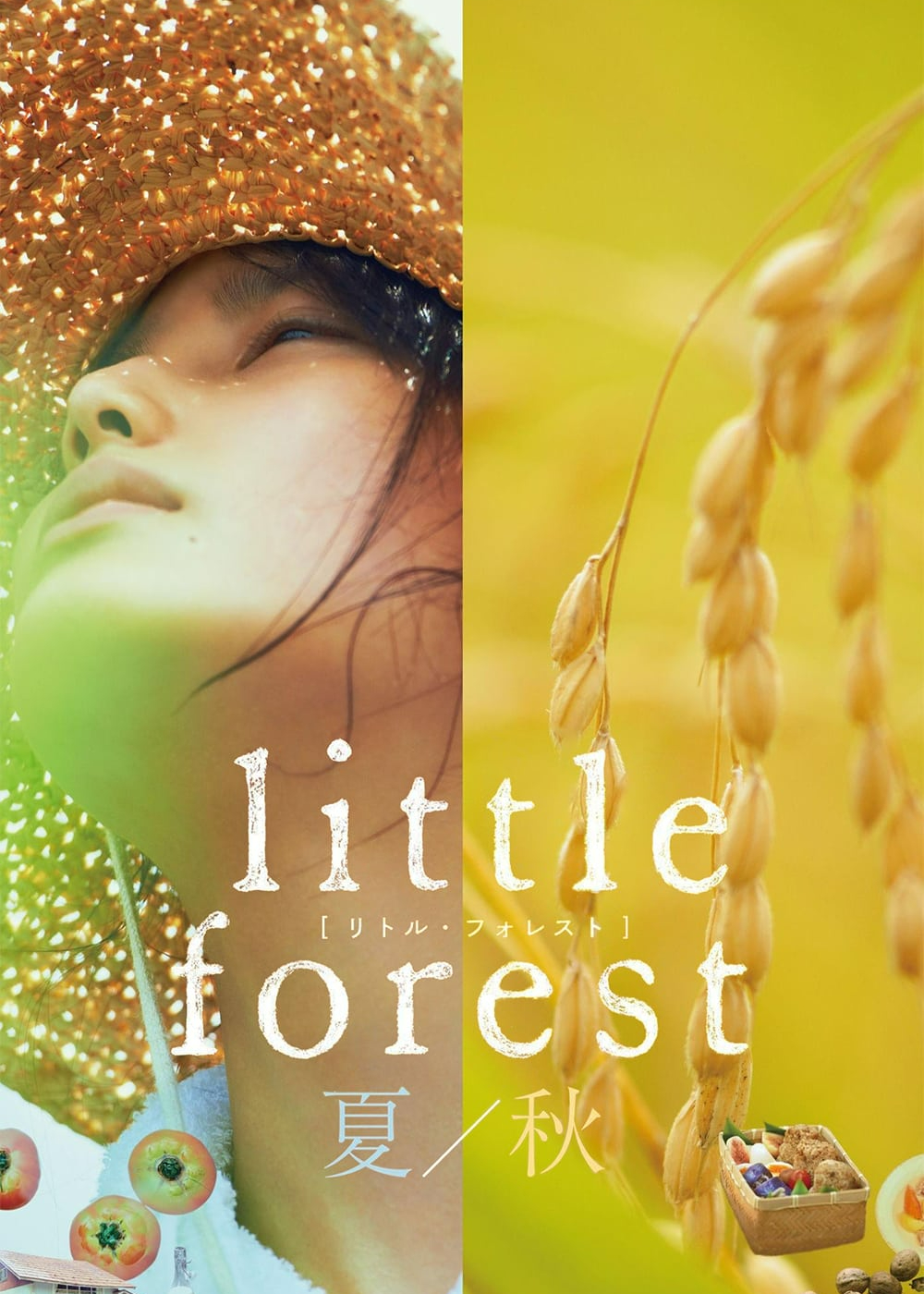 Cánh Đồng Nhỏ: Mùa Hạ Và Thu - Little Forest: Summer/Autumn (2014)