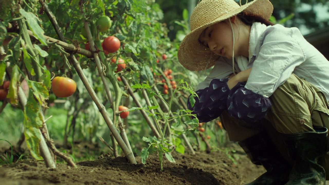 Cánh Đồng Nhỏ: Mùa Hạ Và Thu