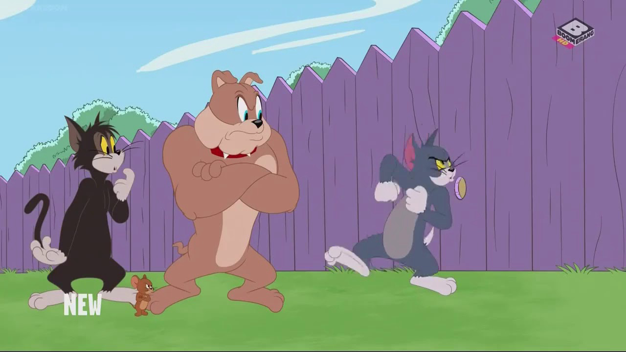 The Tom And Jerry Show (Phần 3)