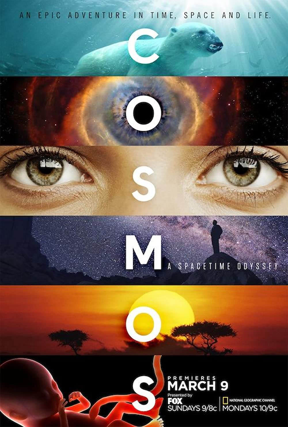 Vũ Trụ Kỳ Diệu (Phần 1) - Cosmos: A SpaceTime Odyssey (Season 1) (2014)