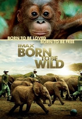 Những Loài Vật Mồ Côi - Born To Be Wild