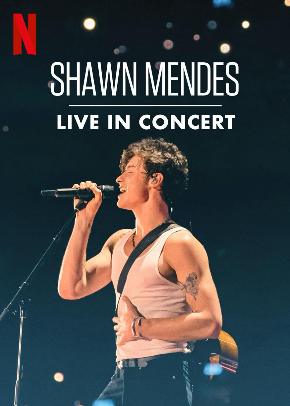 Shawn Mendes: Trực Tiếp Tại Buổi Hòa Nhạc - Shawn Mendes: Live In Concert