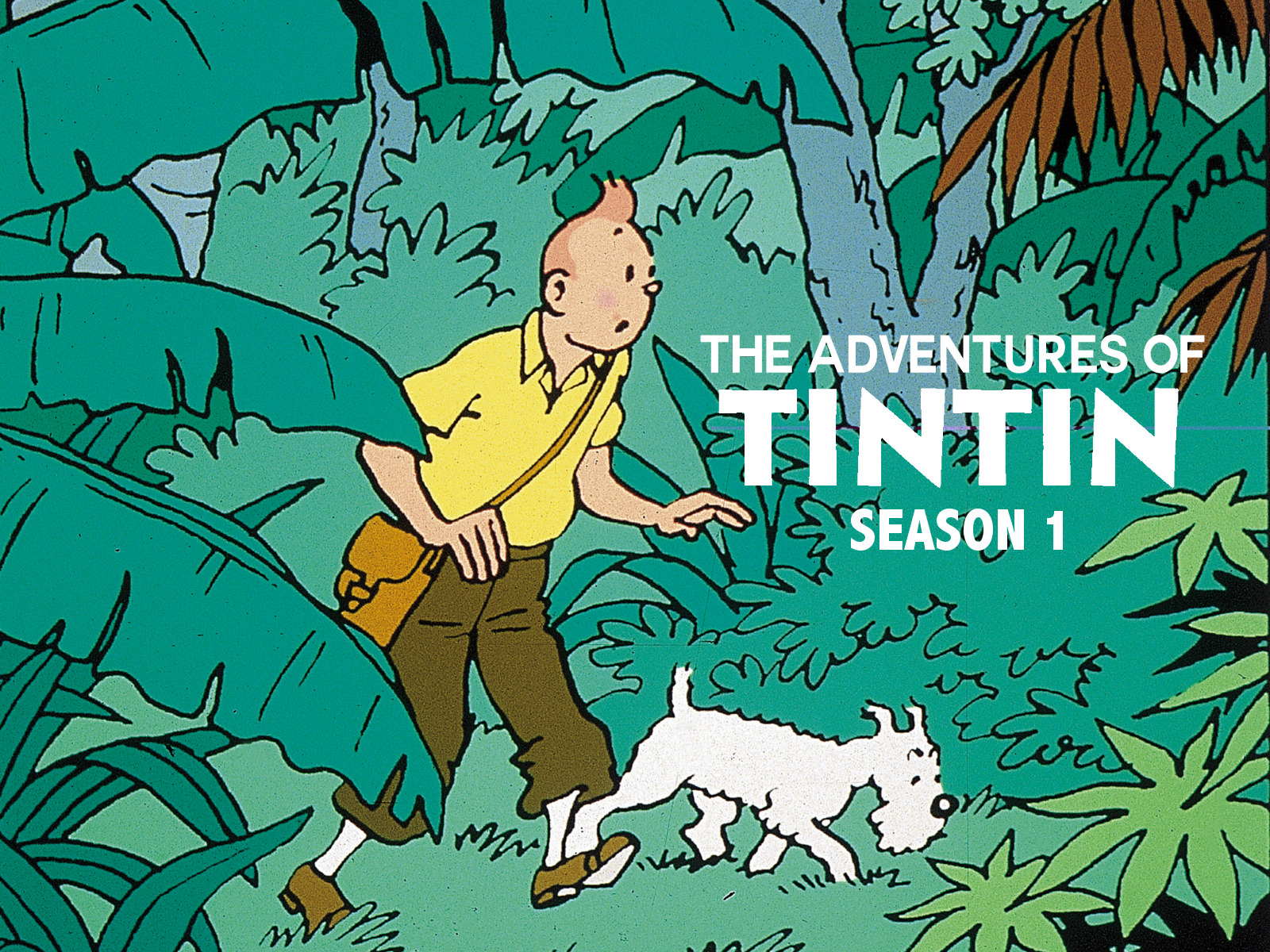 Những Cuộc Phiêu Lưu Của Tintin (Phần 1)