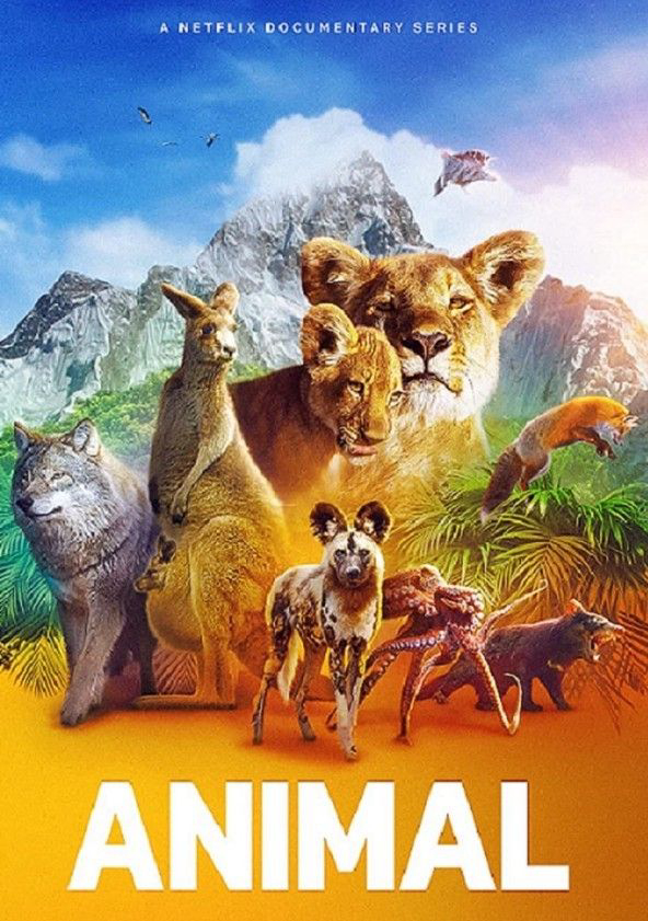 Động Vật (Phần 2) - Animal (Season 2)