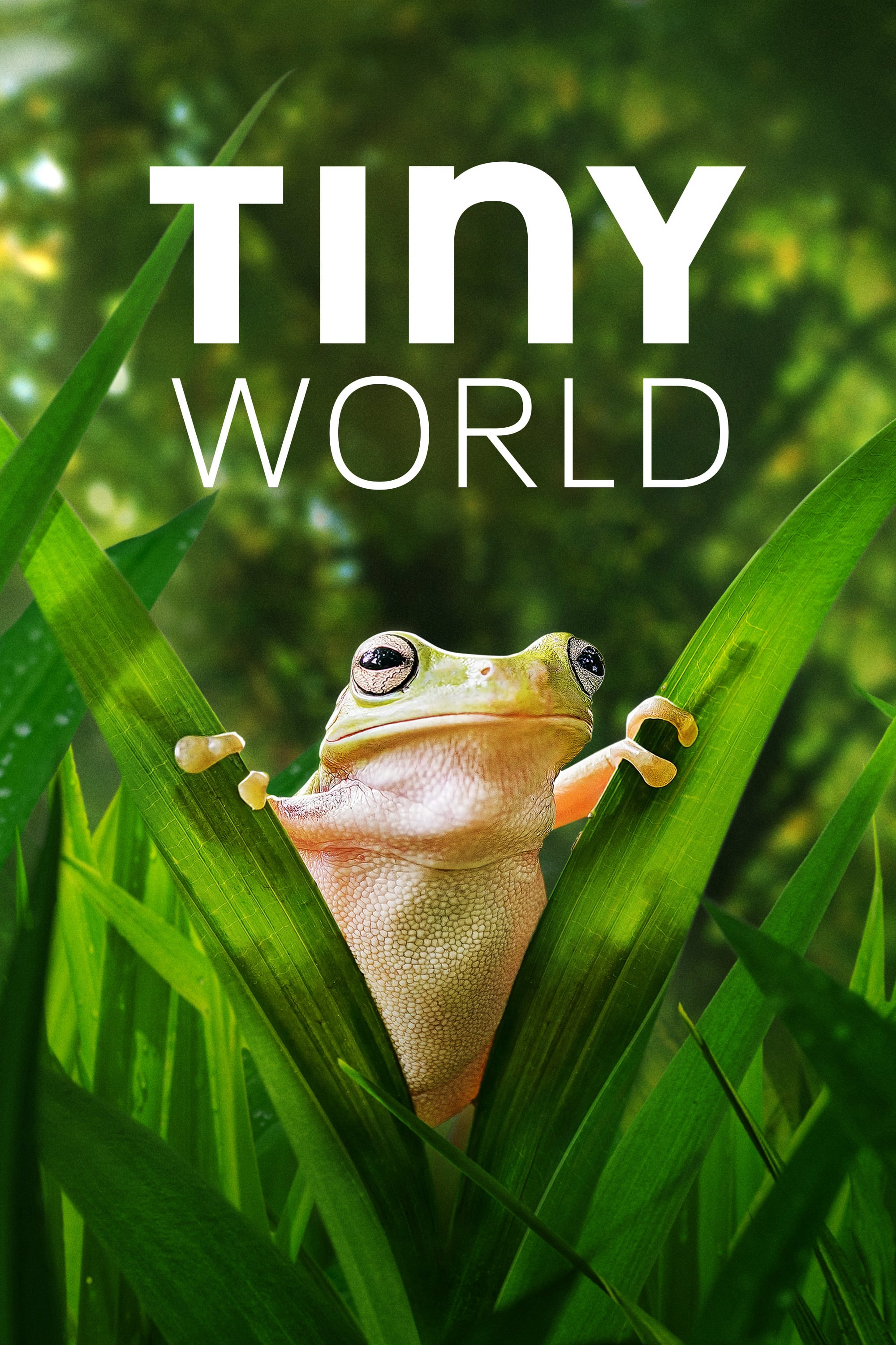 Thế Giới Siêu Nhỏ (Phần 2) - Tiny World (Season 2) (2021)