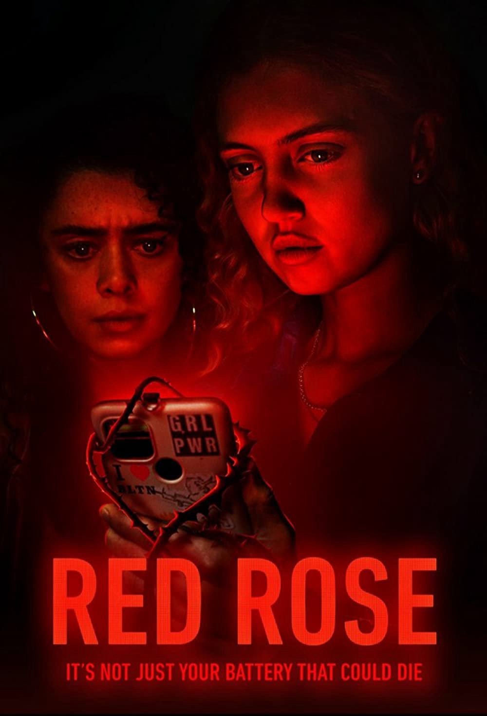 Hoa Hồng Đỏ - Red Rose