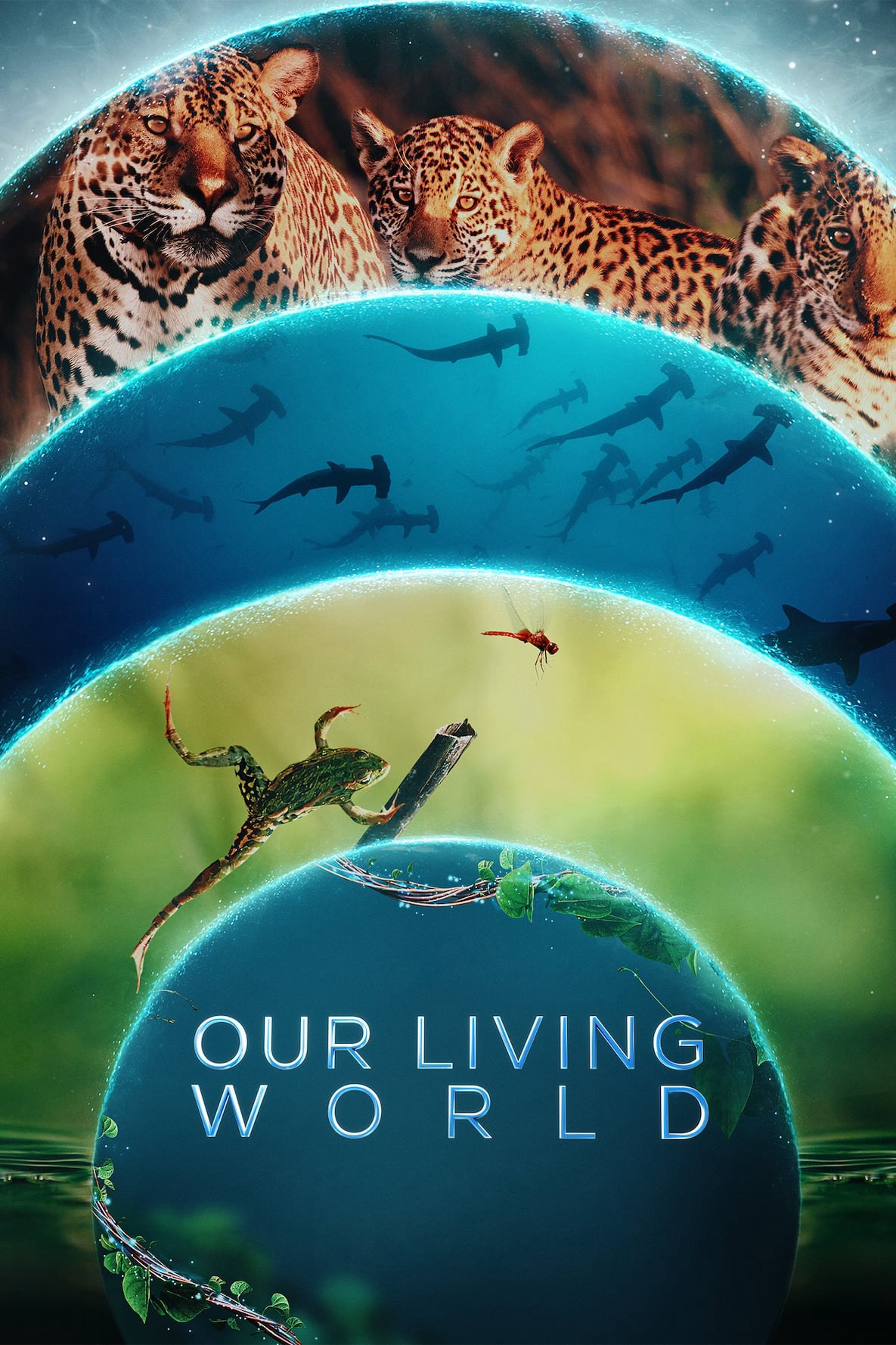 Thế Giới Sống Của Chúng Ta - Our Living World