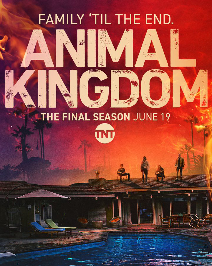 Vương Quốc Động Vật (Phần 6) - Animal Kingdom (Season 6)