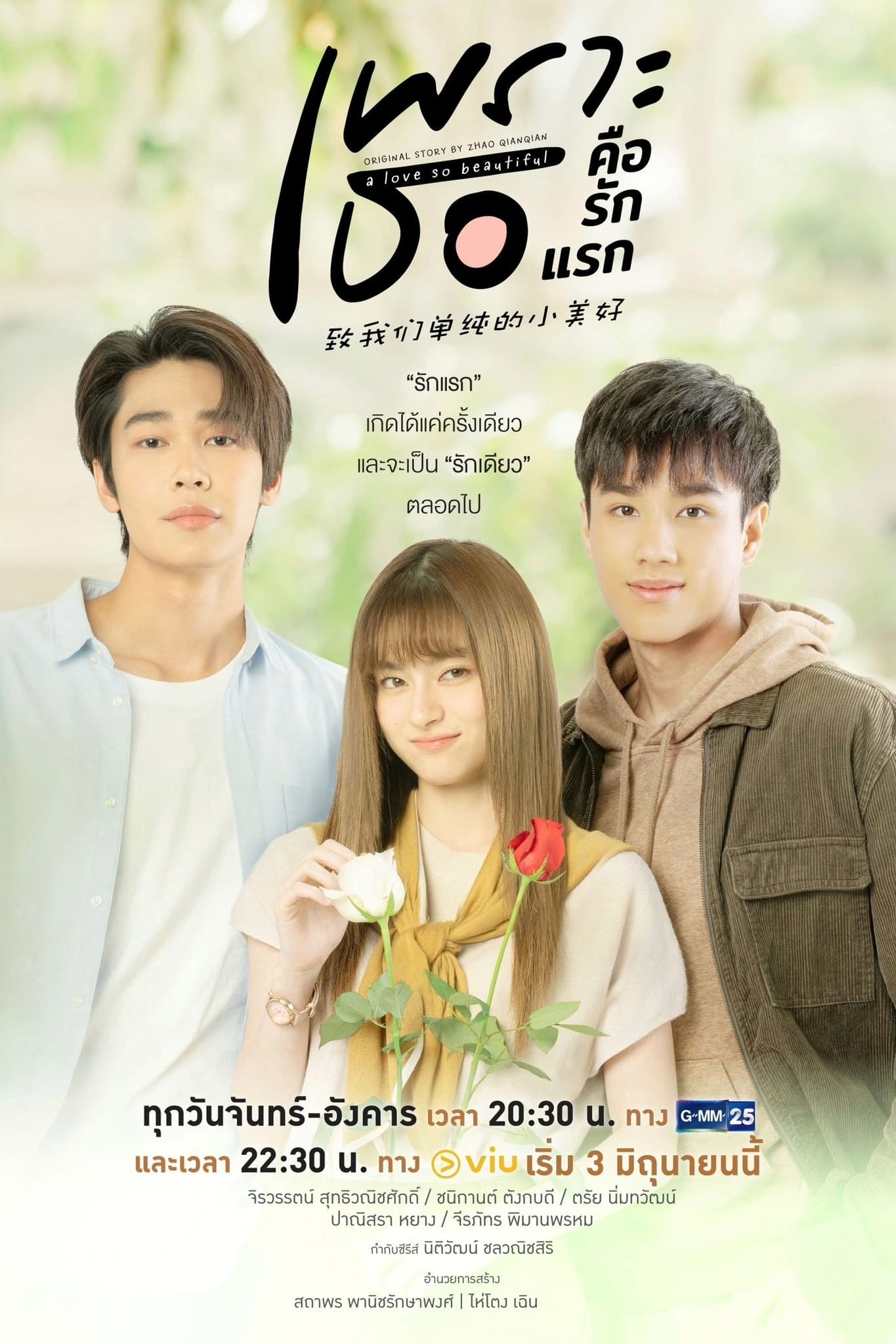 Gửi Thời Thanh Xuân Ngây Thơ Tươi Đẹp (Bản Thái) - A Love So Beautiful (Thailand) (2024)