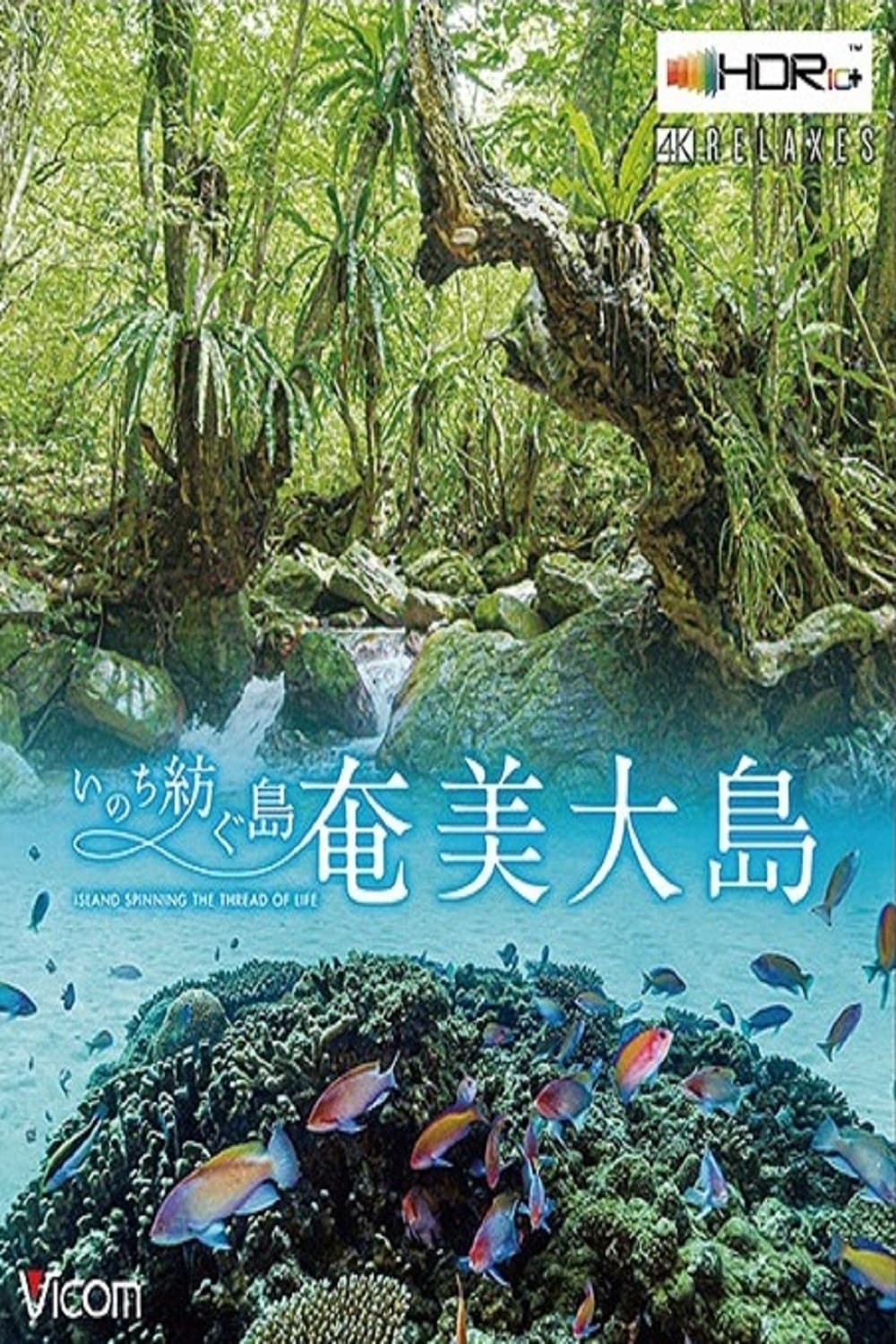 Đảo Amami Oshima - Amami Oshima Island (2020)