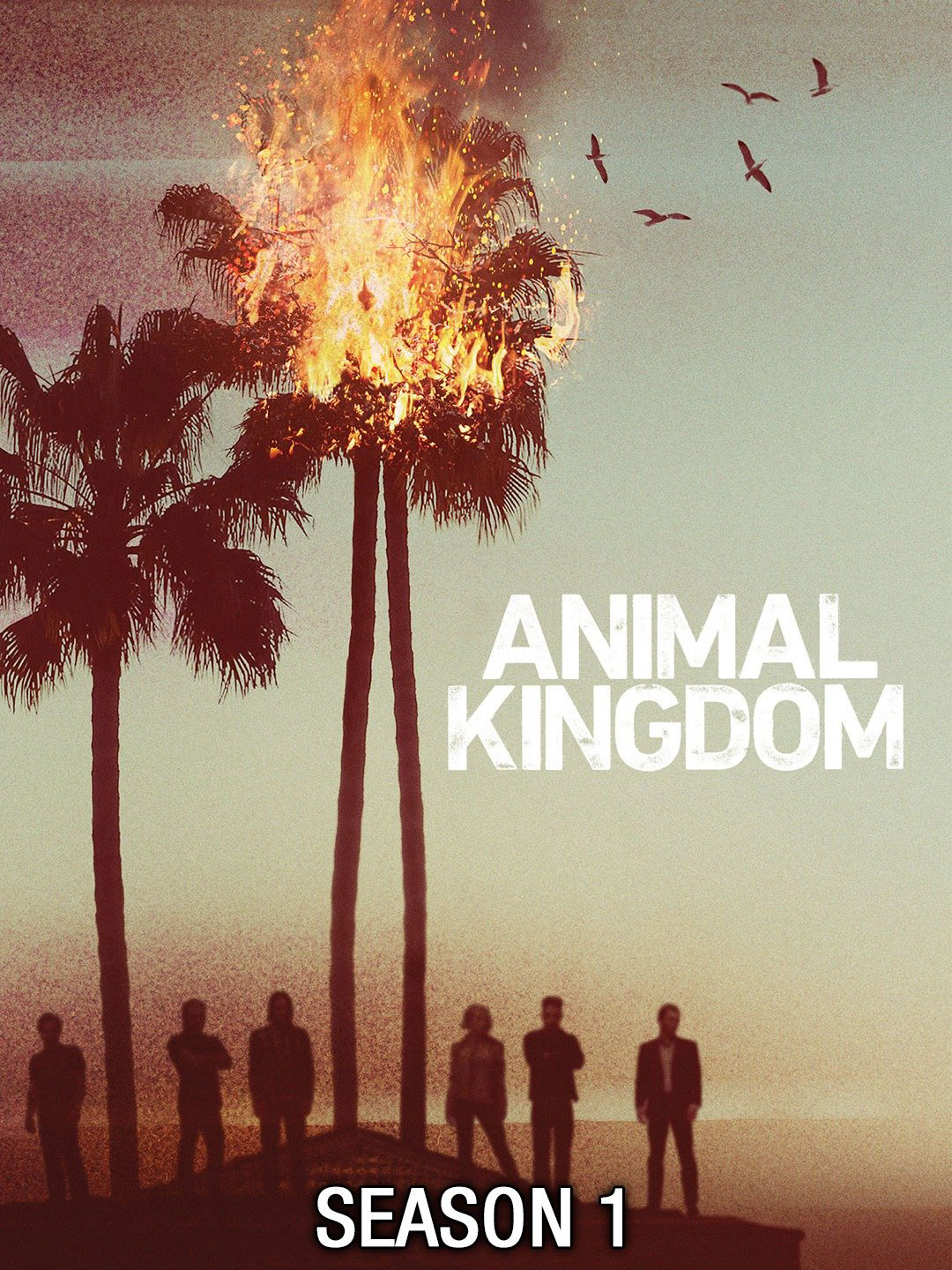 Vương Quốc Động Vật (Phần 1) - Animal Kingdom (Season 1) (2016)