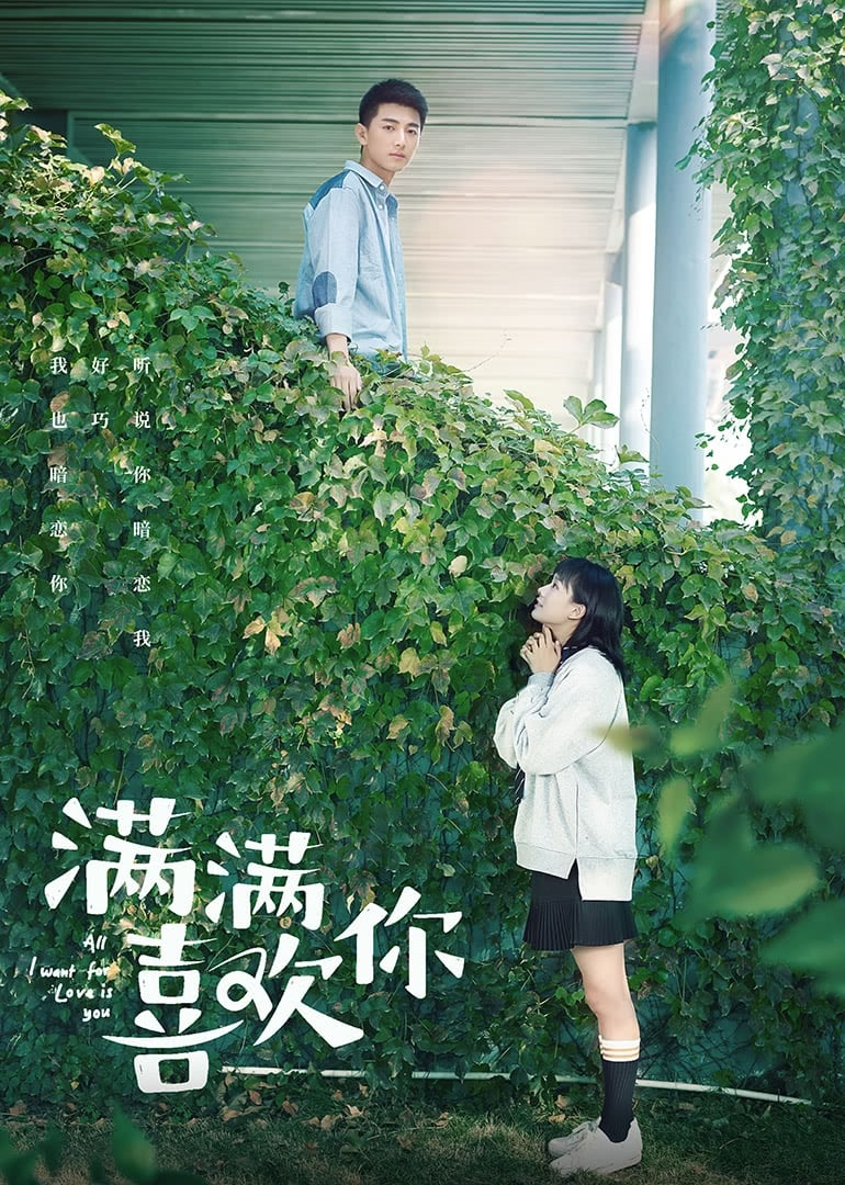 Yêu Thương Đong Đầy - All I Want For Love Is You (2019)