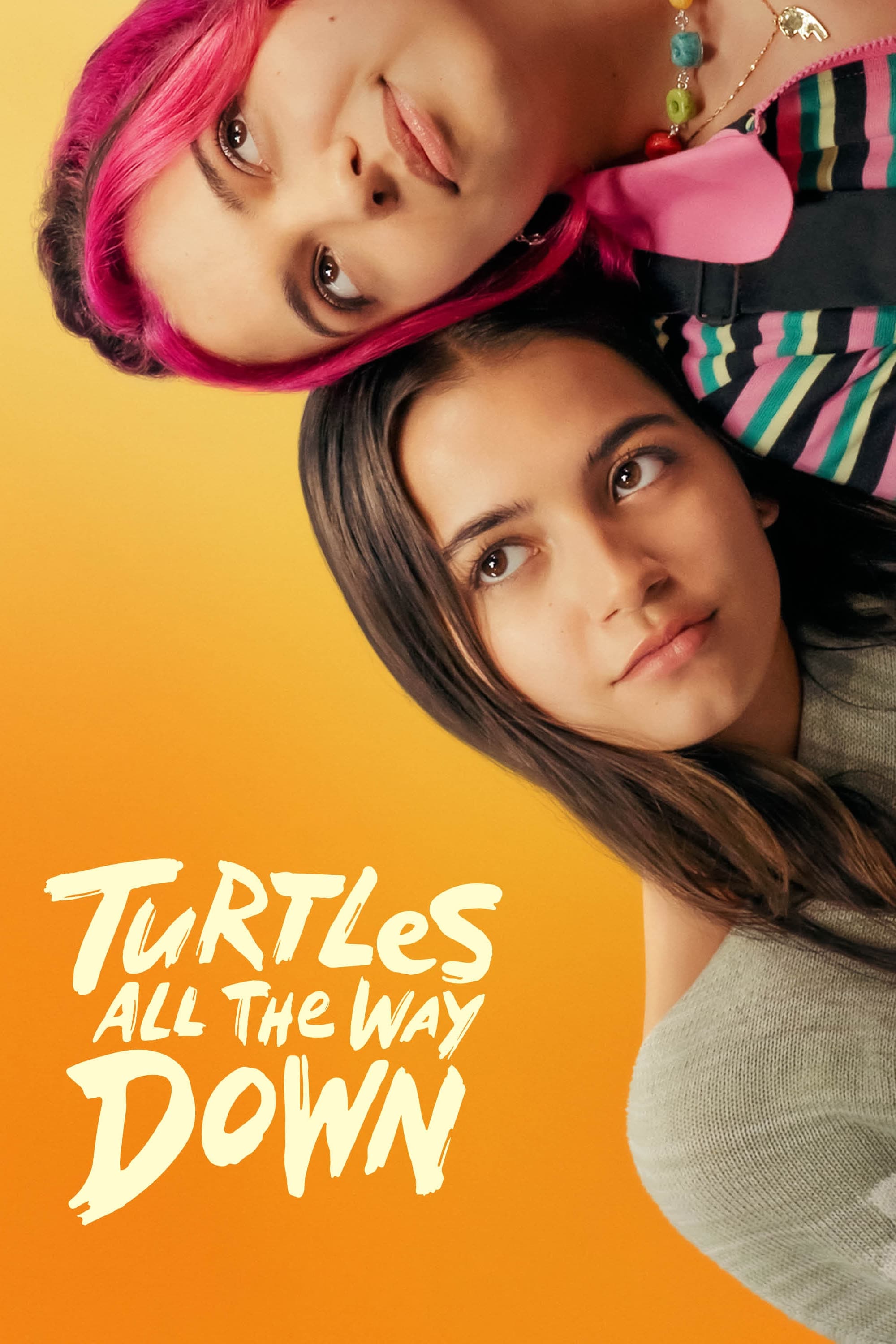 Bầy Rùa Vô Tận – Turtles All The Way Down