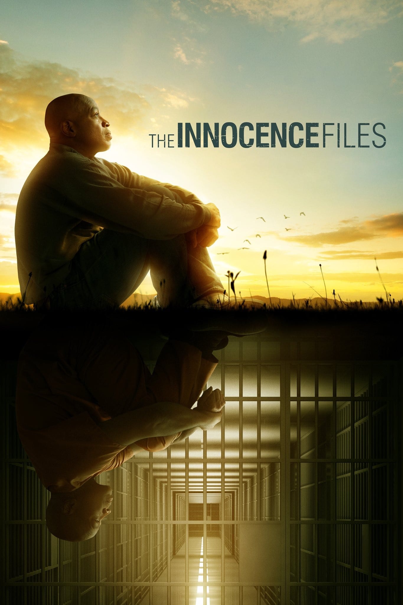 Hồ sơ vô tội - The Innocence Files