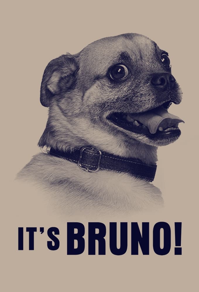 Chú Chó Bruno – It'S Bruno!