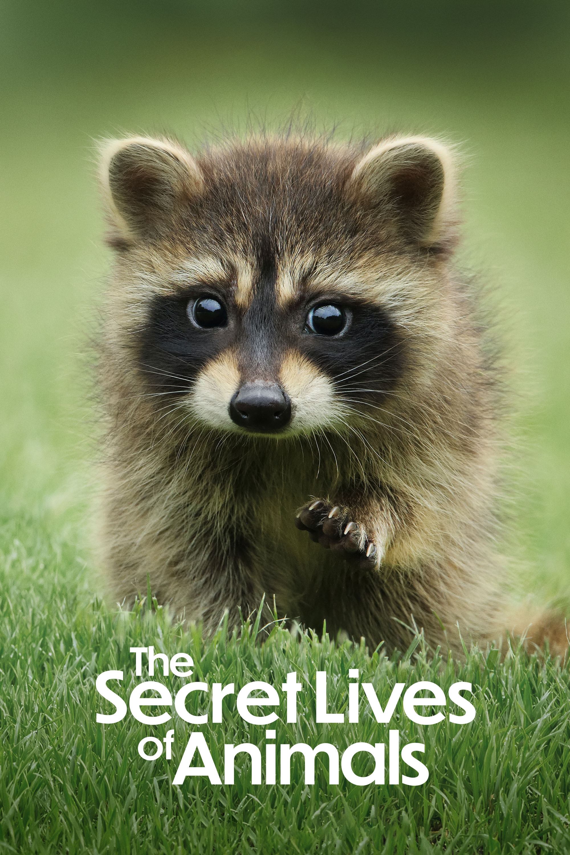 Bí Ẩn Về Thế Giới Động Vật - The Secret Lives Of Animals