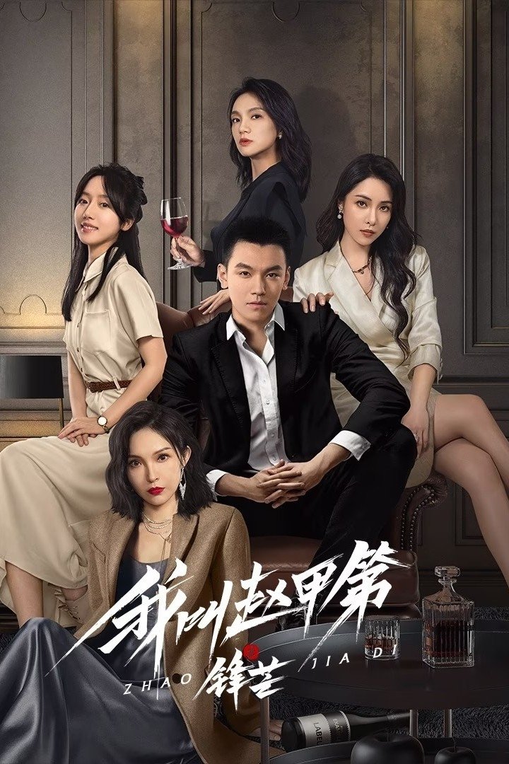 Phim Tôi Là Triệu Giáp Đệ: Phong Mang