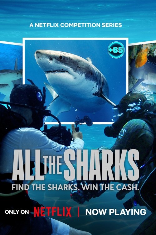 Đi Tìm Cá Mập - All The Sharks (2025)