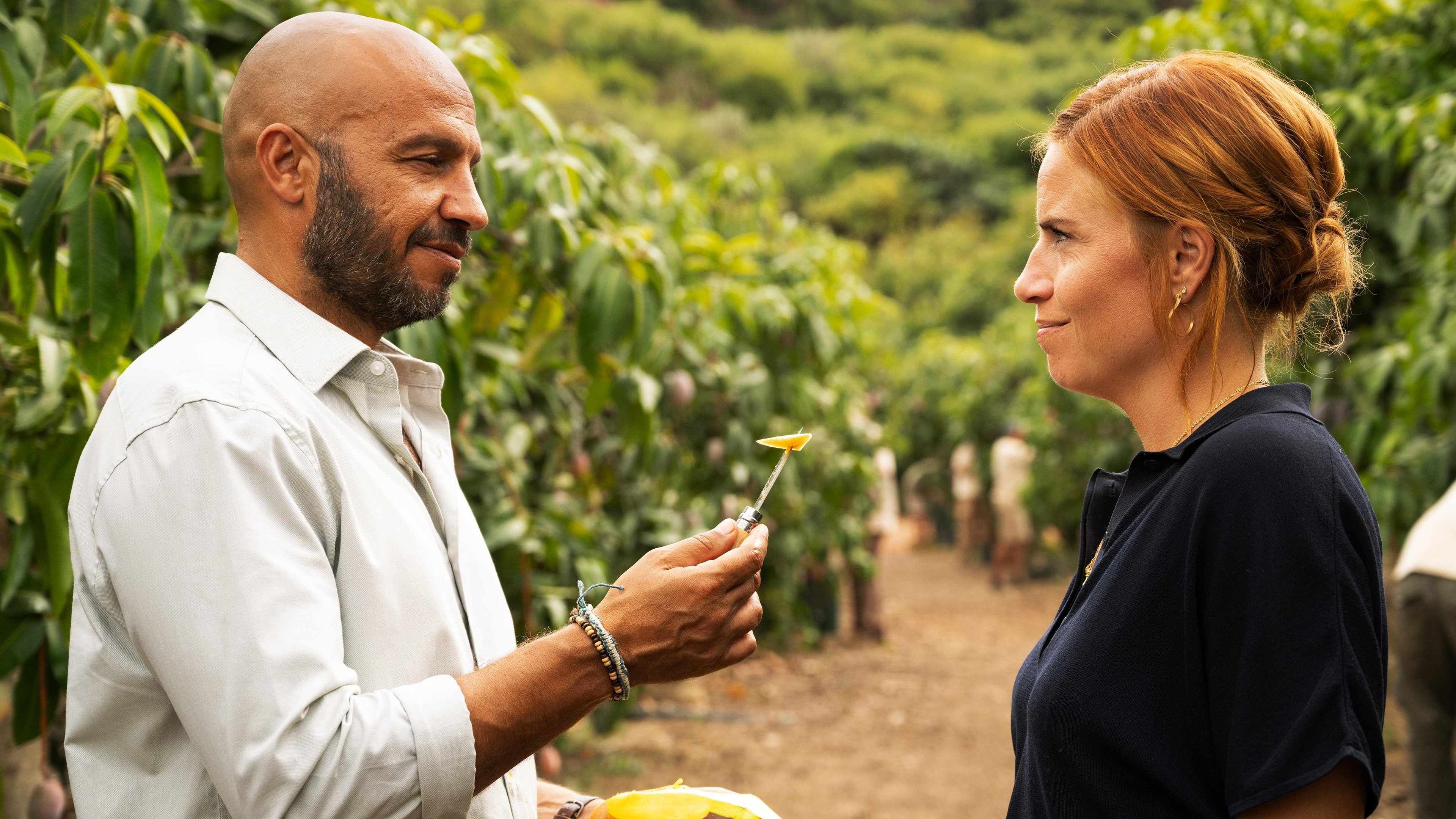 Khách Sạn Vườn XoàiHình bìa