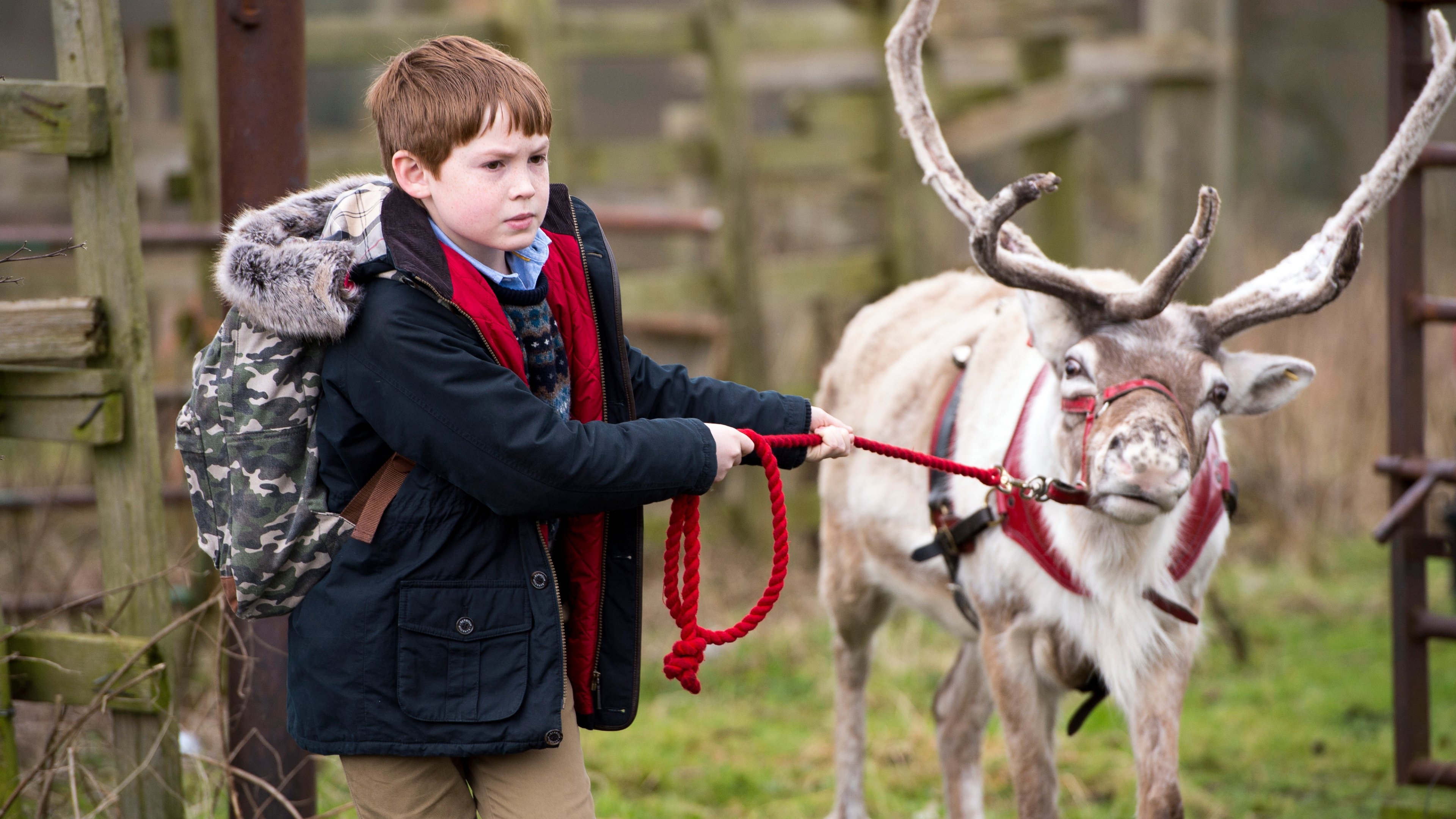 Truy Đuổi Ông Già NoelHình bìa