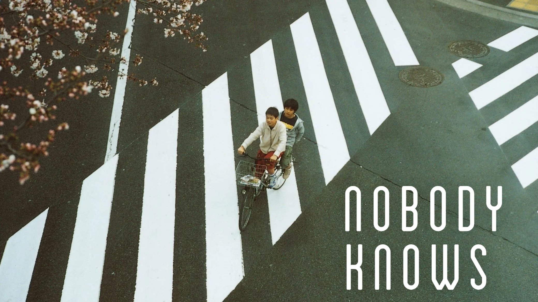 Không Ai Biết - Nobody Knows