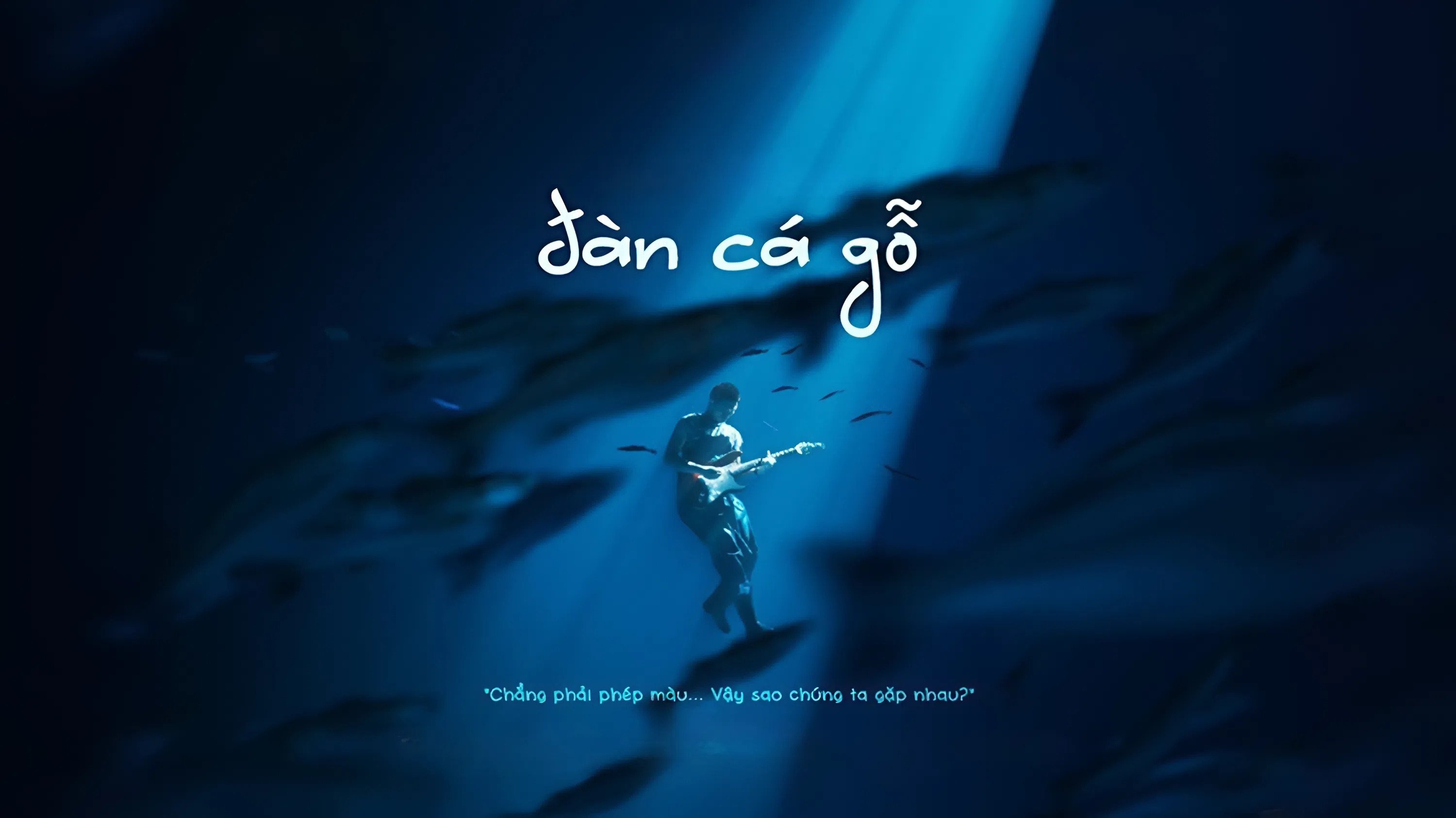 Đàn Cá GỗHình bìa