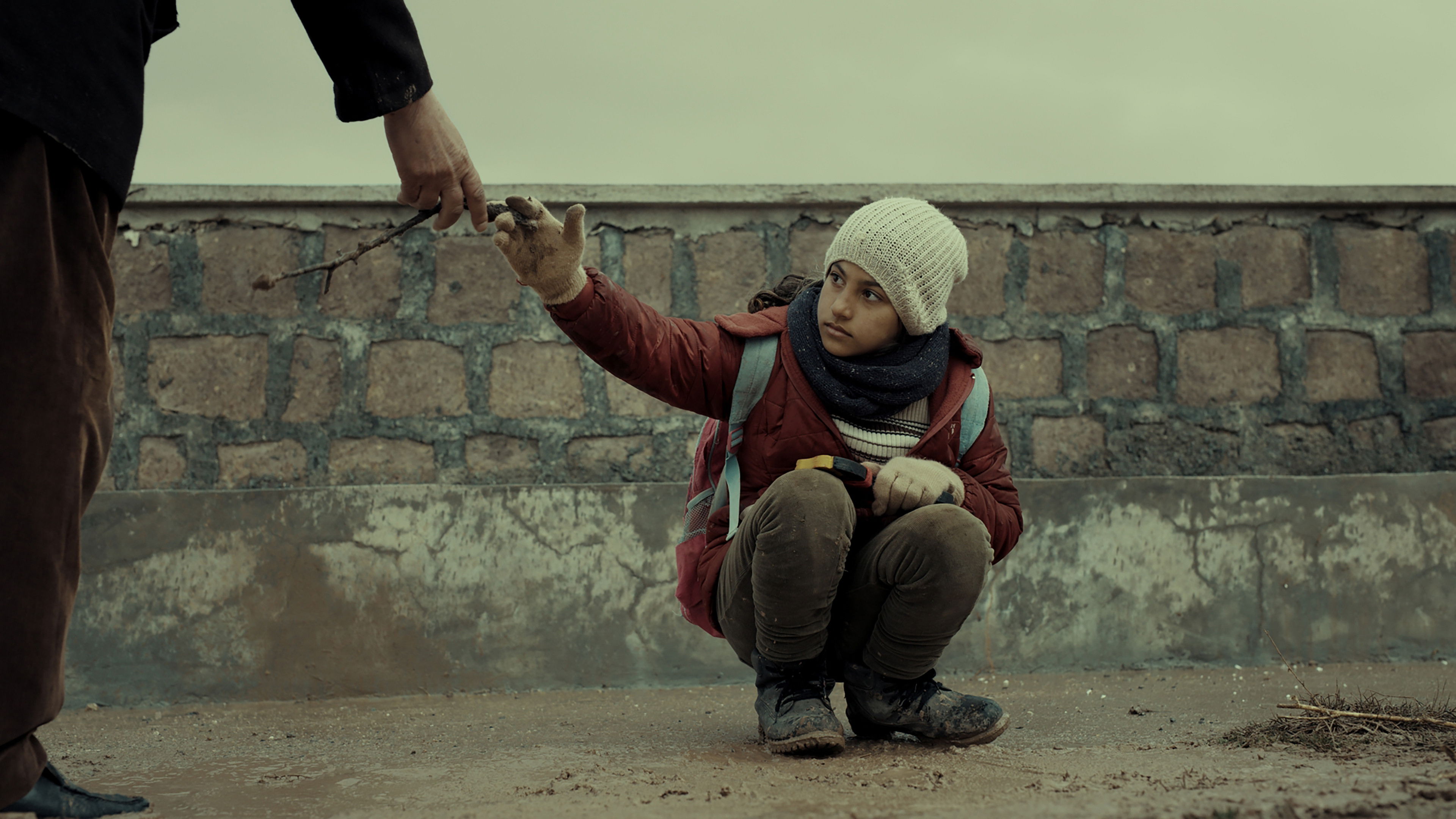 Đinh Hương và Cẩm Chướng