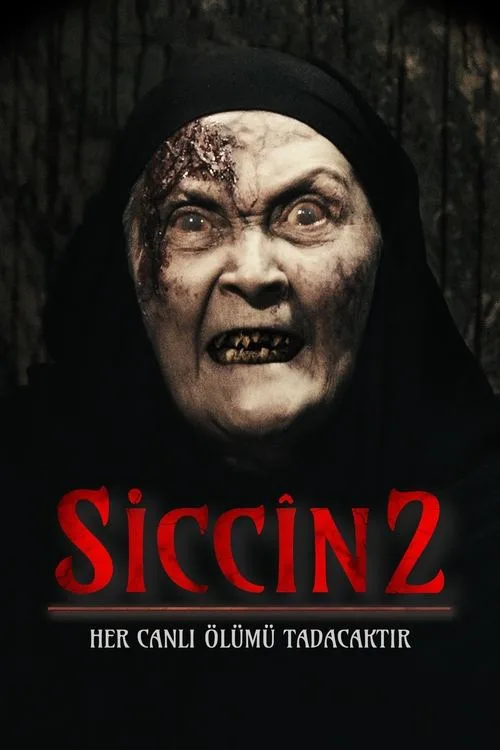 Poster phim Lời Nguyền Sijjin 2