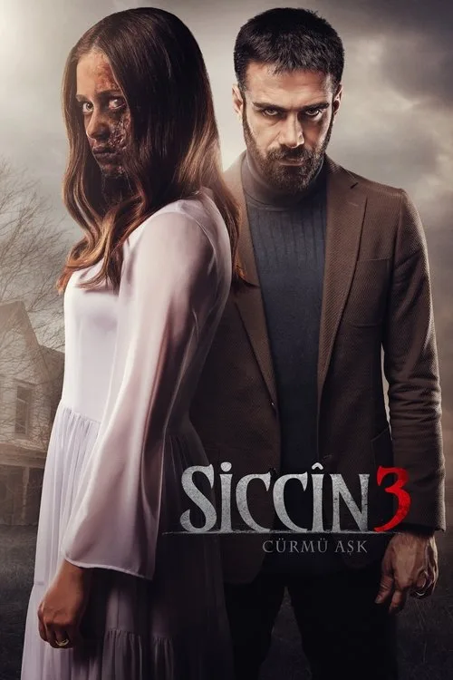 Poster phim Lời Nguyền Sijjin 3