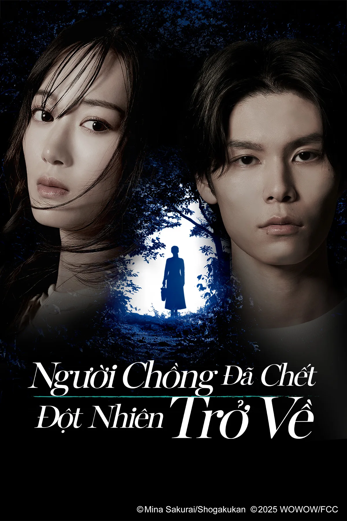 Poster phim Người Chồng Đã Chết Đột Nhiên Trở Về